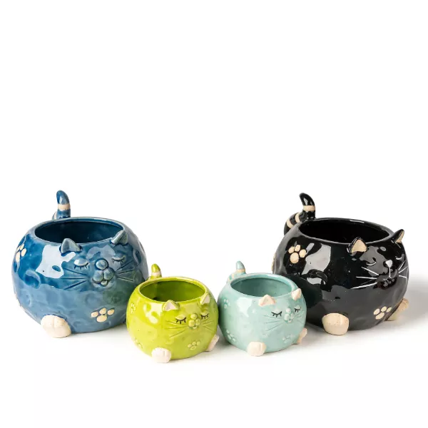 ຜູ້ຖືເລ anican ຂອງສັດ