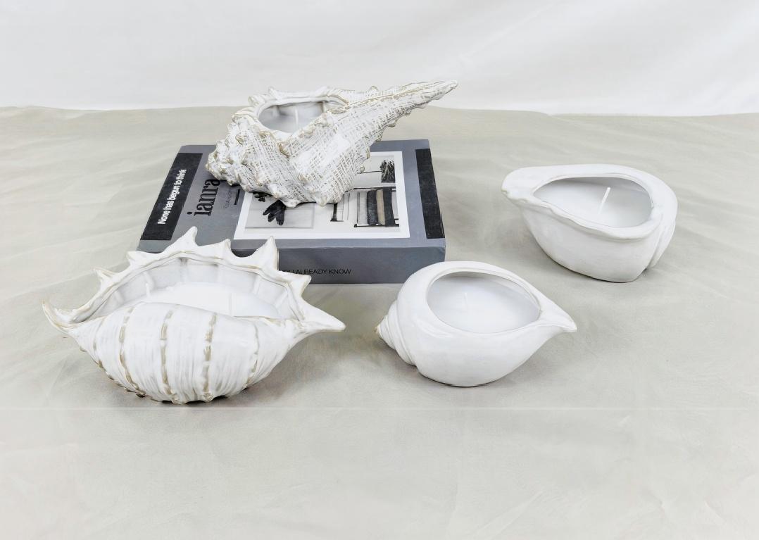 ຂະແຫນງການຕ່າງໆມາໃນຫຼາຍຮູບແບບ. ທ່ານເຄີຍເຫັນຮູບຊົງຫນຶ່ງຄືກັບ seashell ບໍ?